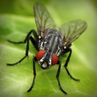 /album/www-dejavu-com/photolia-a01-jpg/