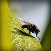 /album/www-dejavu-com/photolia-a04-jpg/