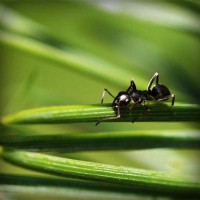 /album/www-dejavu-com/photolia-a05-jpg/