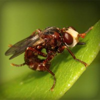 /album/www-dejavu-com/photolia-a06-jpg/