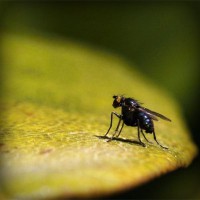 /album/www-dejavu-com/photolia-a07-jpg/